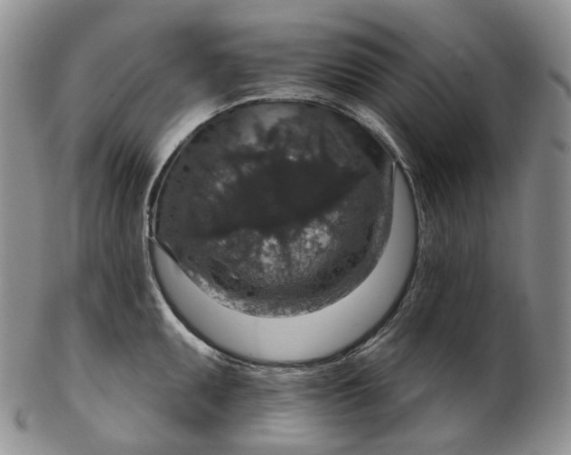 X0000102771095200809021024