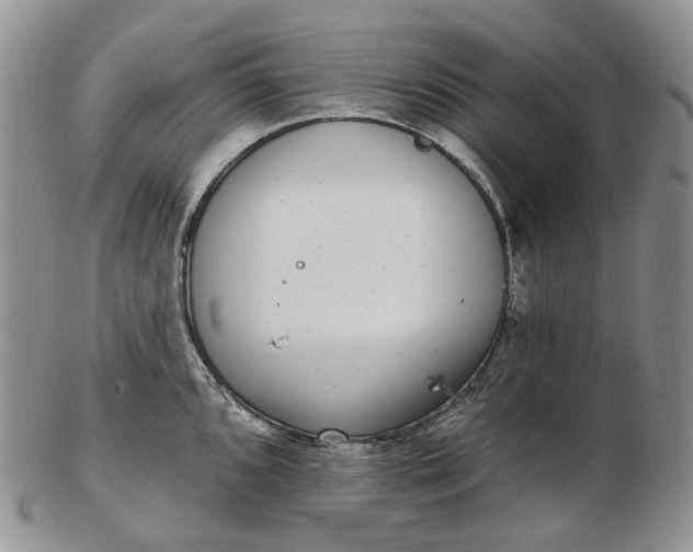 X0000102771096200809021024