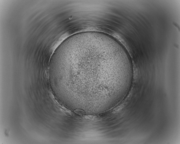 X0000102771097200809021024