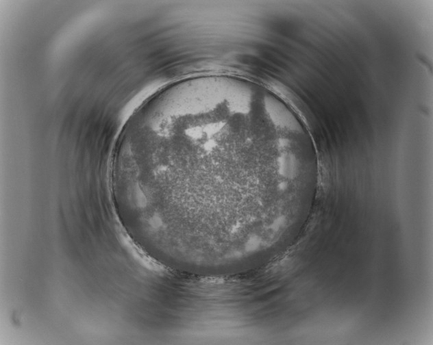 X0000102771098200809021024