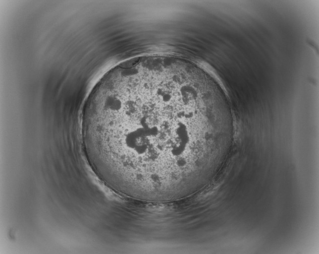 X0000102771099200809021024