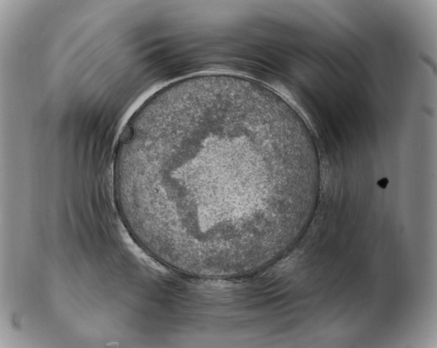 X0000102771100200809021024