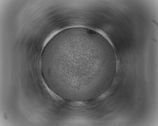 X0000102771101200809021024