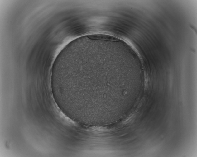 X0000102771102200809021024