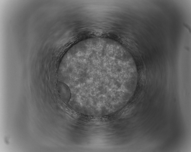 X0000102771105200809021023