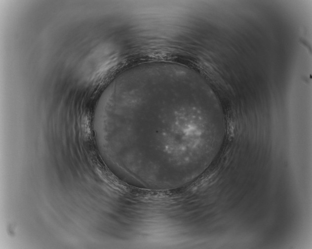 X0000102771106200809021023