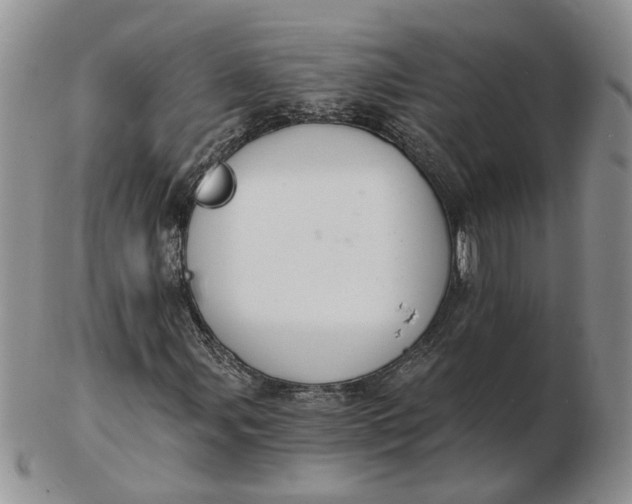 X0000102771107200809021023