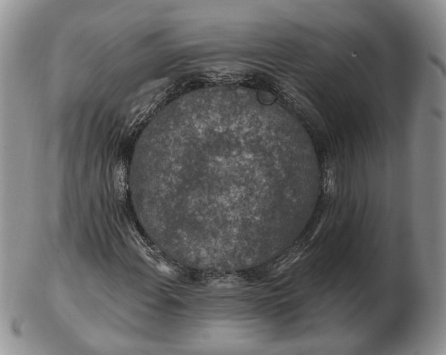 X0000102771108200809021023