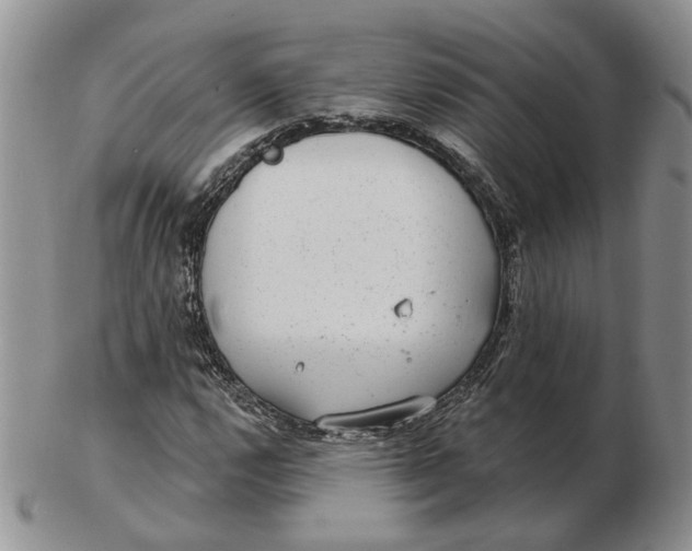 X0000102771112200809021023