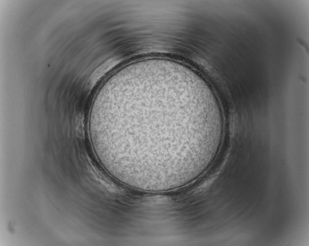 X0000102771113200809021023