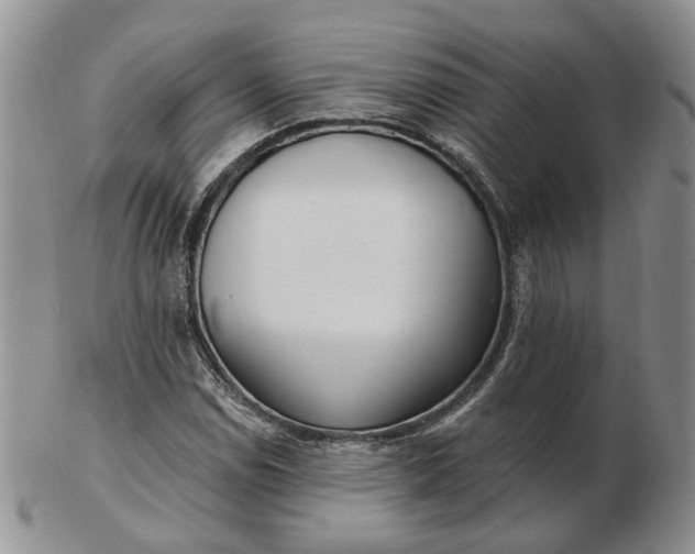 X0000102771114200809021024