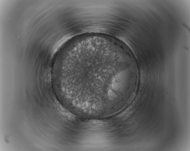 X0000102771115200809021024