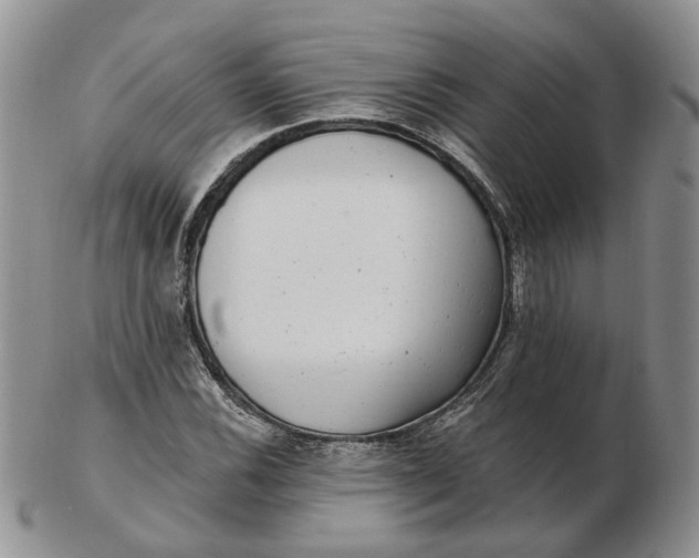 X0000102771116200809021024