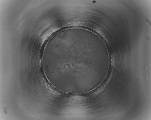 X0000102771117200809021024