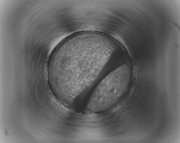 X0000102771120200809021024