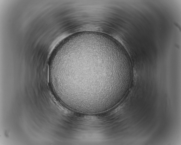 X0000102771123200809021024