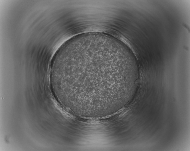 X0000102771124200809021024