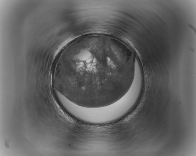 X0000102771125200809021024