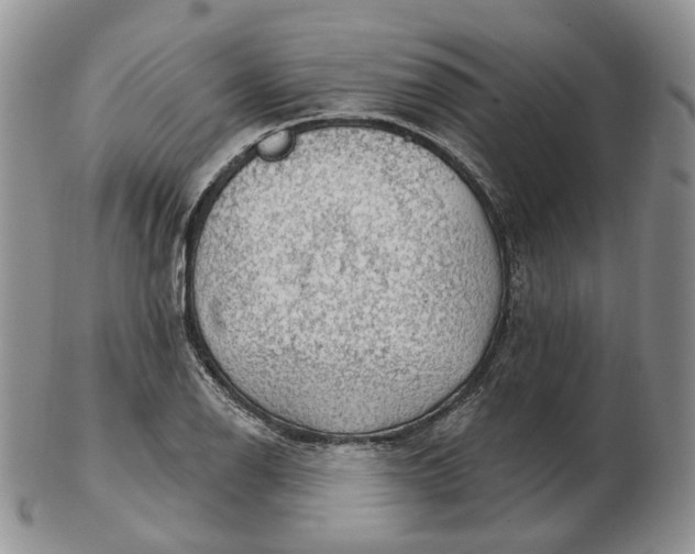 X0000102771126200809021024