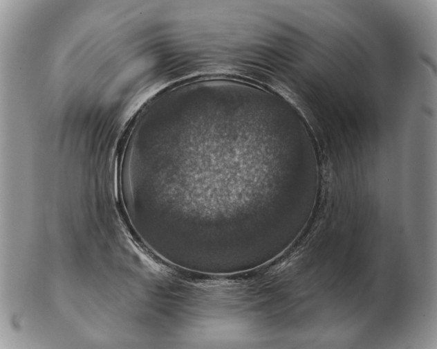 X0000102771127200809021024