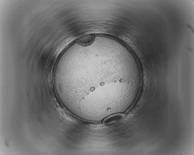 X0000102771129200809021024