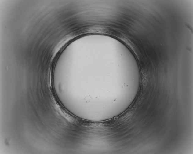 X0000102771131200809021024