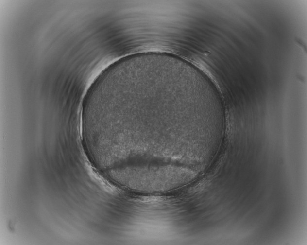 X0000102771132200809021024