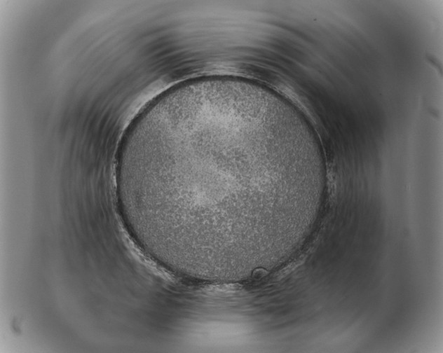 X0000102771133200809021024