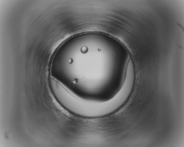 X0000102771134200809021024