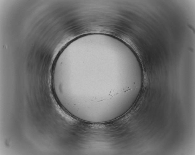 X0000102771136200809021024