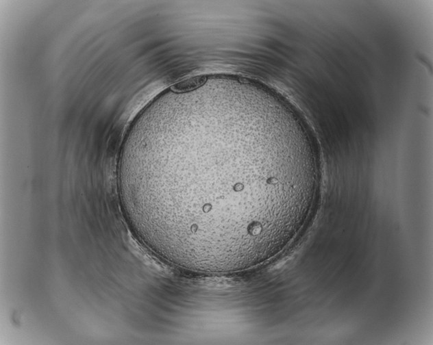 X0000102771137200809021024