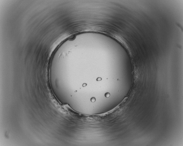 X0000102771138200809021024