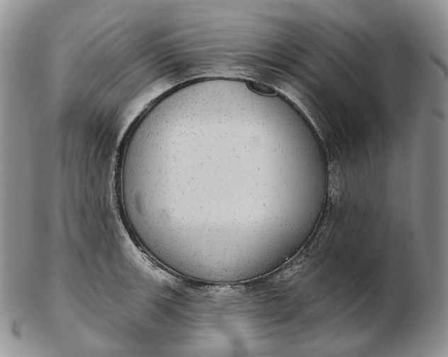 X0000102771139200809021024