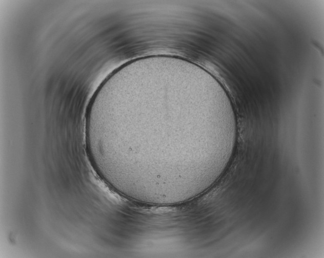 X0000102771140200809021024