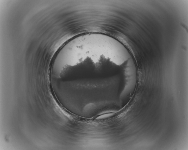 X0000102771141200809021024