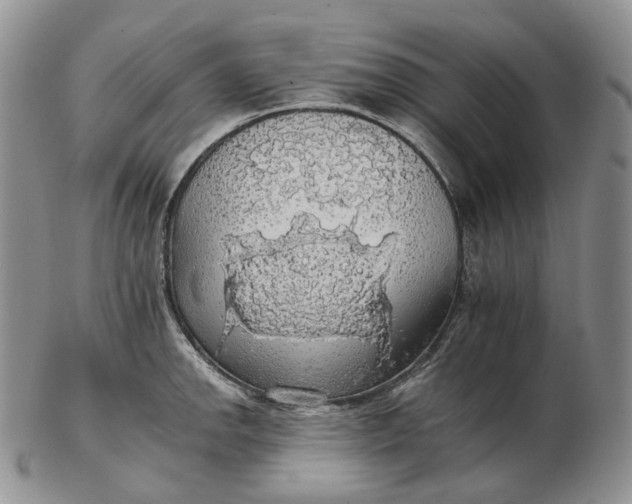 X0000102771142200809021024