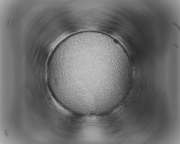 X0000102771143200809021024