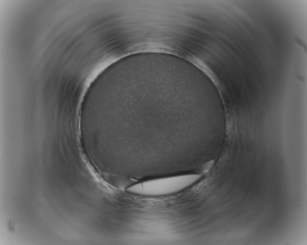 X0000102771144200809021024