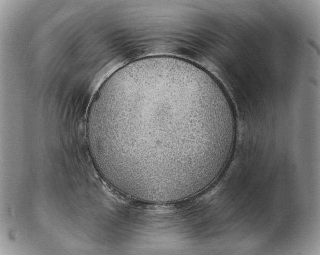 X0000102771145200809021024