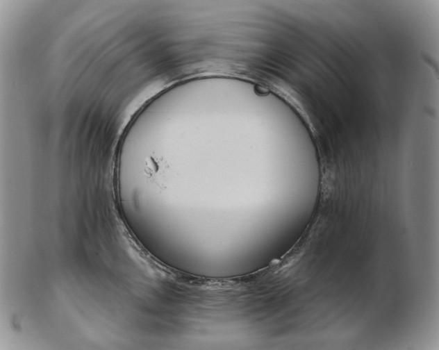 X0000102771146200809021024