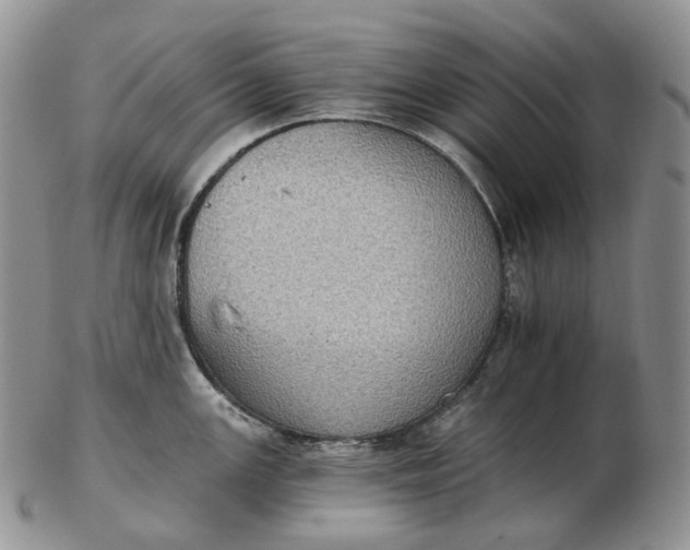 X0000102771147200809021024