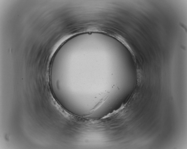 X0000102771148200809021024