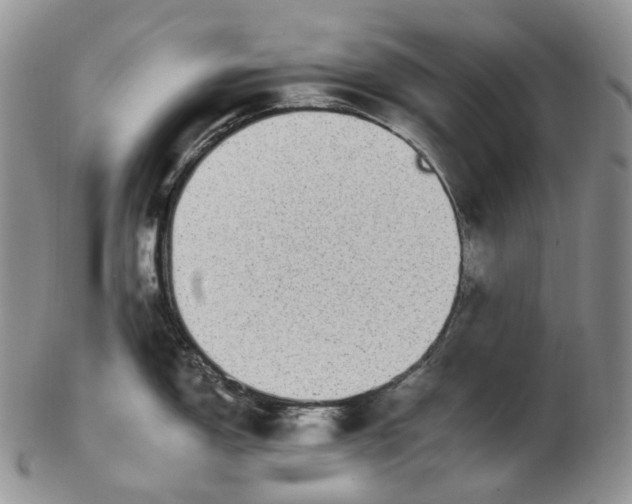 X0000102771150200809021024