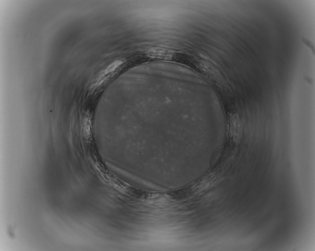 X0000102771154200809021023