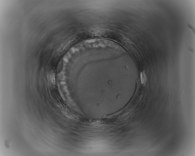 X0000102771155200809021023