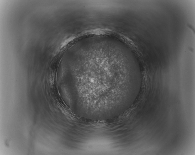 X0000102771158200809021023