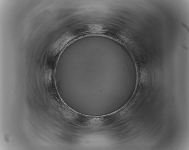 X0000102771161200809021023