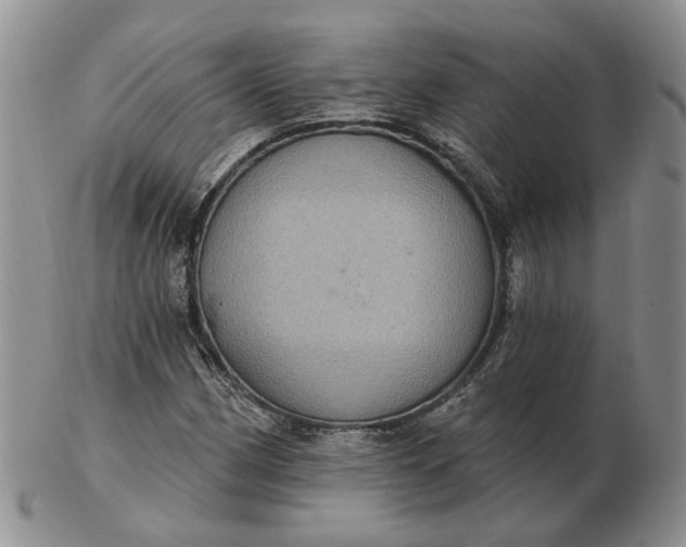 X0000102771162200809021023