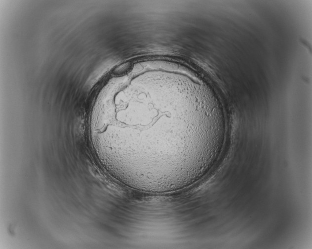 X0000102771163200809021023