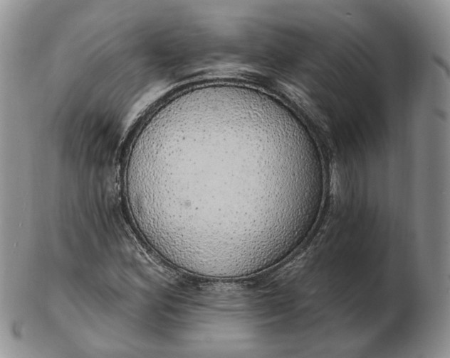 X0000102771164200809021023